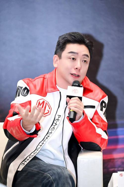 _上汽名爵销量排行_上汽名爵汽车销量