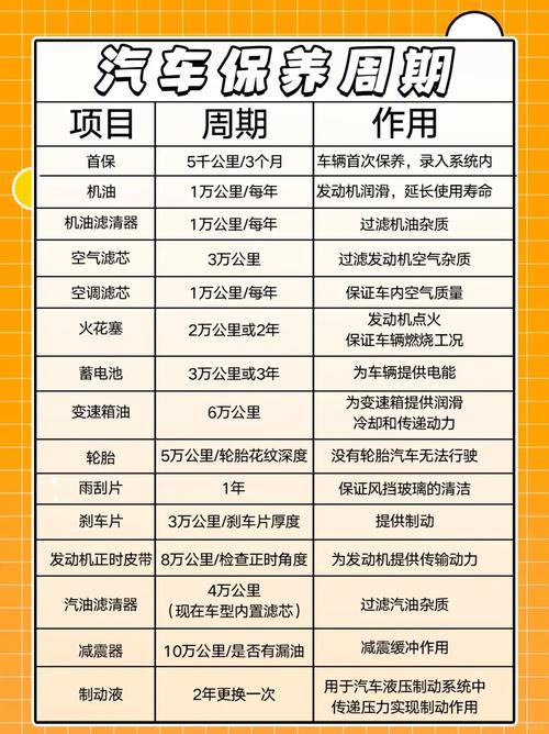 定期做保养和不保养的区别__定期保养项目