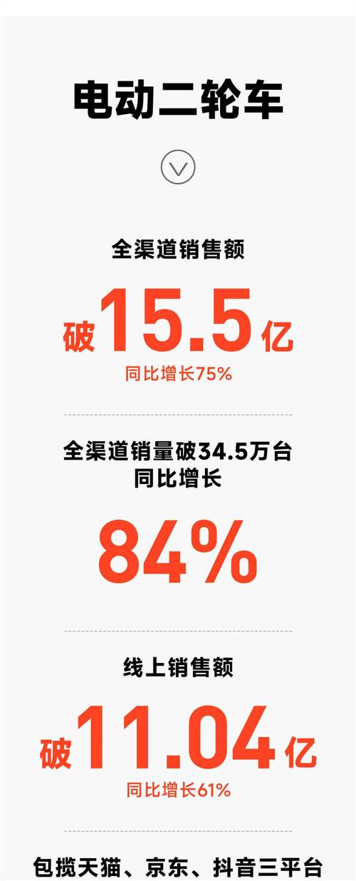 _霸王电动车牌子_亿元销售俱乐部